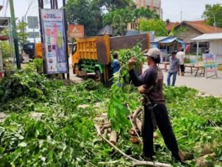 Antisipasi Tumbang, DLHK dan BPBD Tangerang Pangkas Pohon