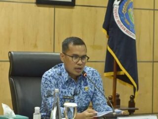 Wakil Walikota Tangsel Jadi Narasumber Webinar Nasional